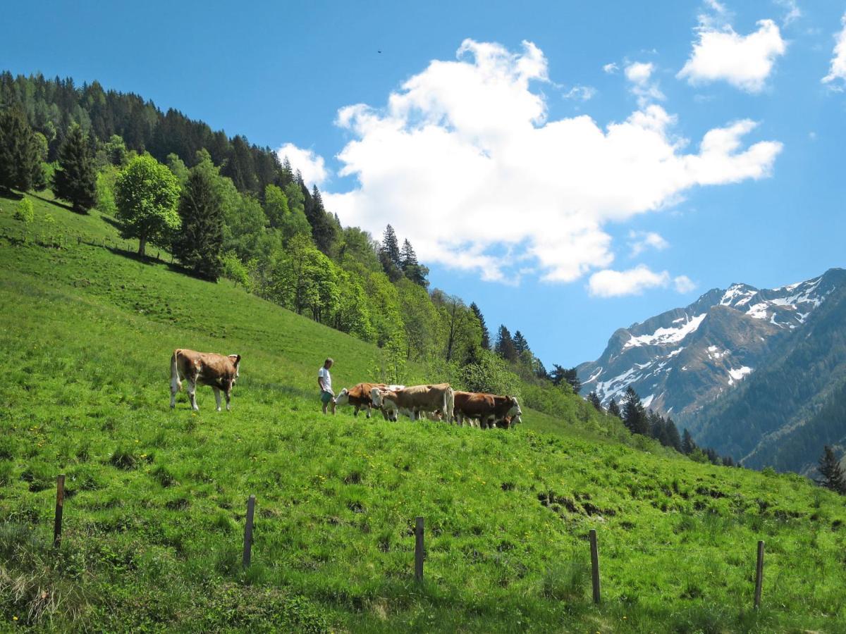 Chalet Waltl - Fuc160 By Interhome Fusch an der Grossglocknerstrasse المظهر الخارجي الصورة